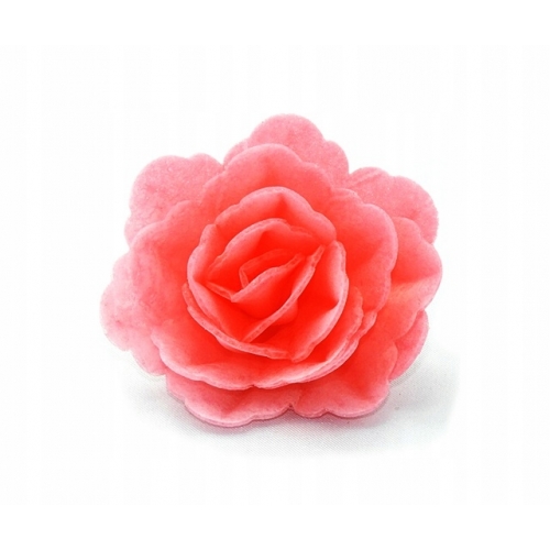 Róża chińska waflowa średnia różowa 18 sztuk
